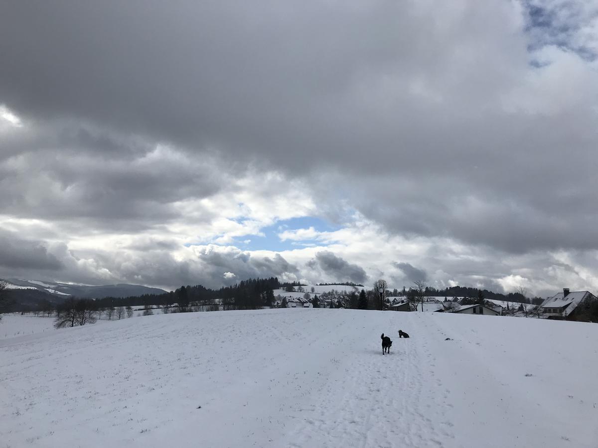 Schwarzwaldmaedel Lägenhet Sankt Peter Exteriör bild